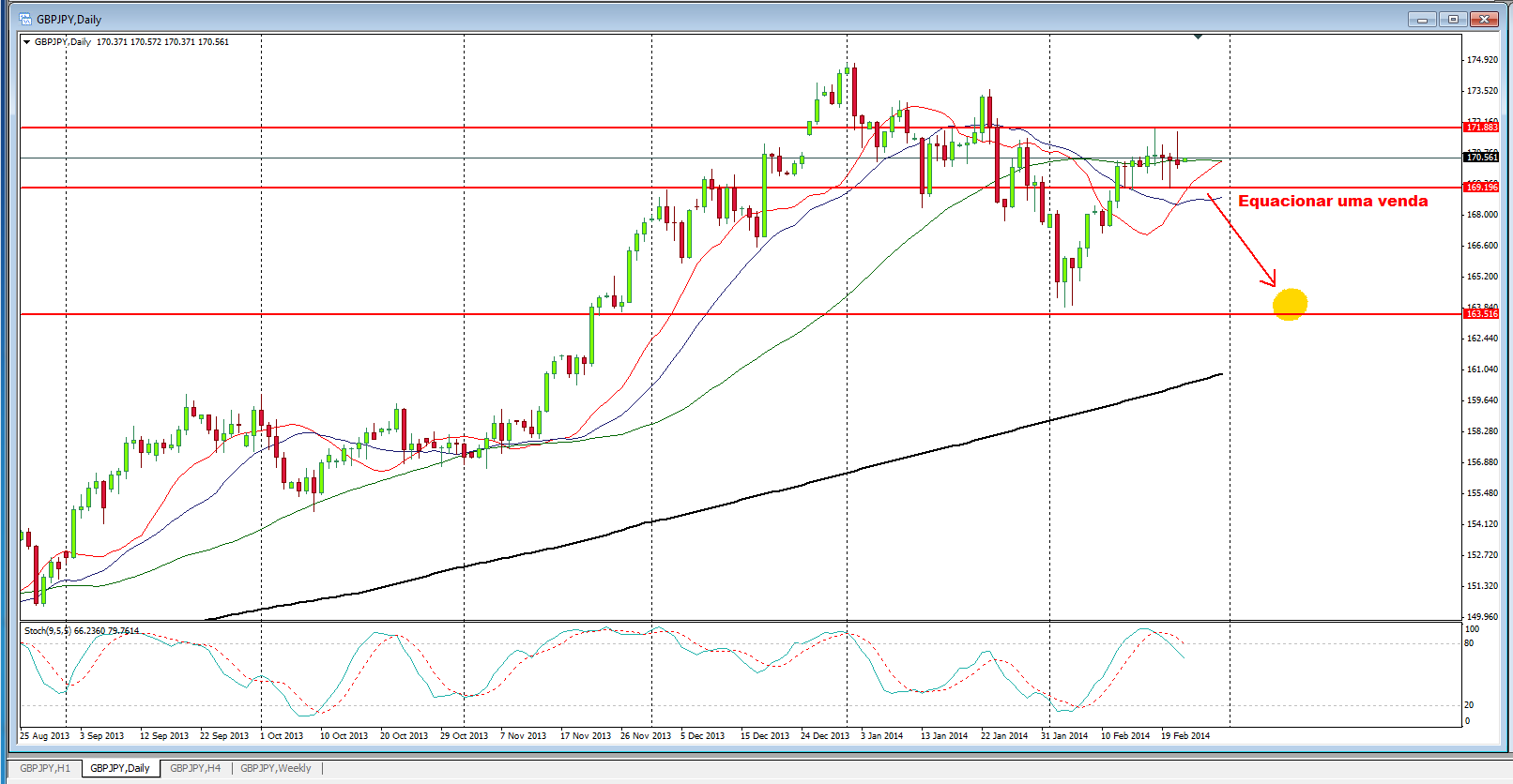 Trade 24 forex